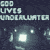 GLU AIM Icon - thx to www.davidreillymusic.com